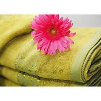 Combo 3 khăn sợi tre Nam Phong - 34x80 cm - màu xanh rêu