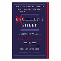 Excellent Sheep: The Miseducation Of The American Elite And The Way To A Meaningful Life