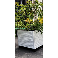 CHẬU GHÉP 42*51*CAO 48CM, DAIM - JAPAN, MÀU TRẮNG
