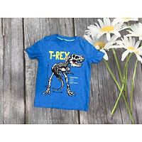 Áo thun bé trai xuất khẩu khủng long T-REX