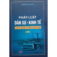 Pháp Luật Dân Sự kinh Tế Và Thực Tiễn Xét Xử ( Tập 1 )