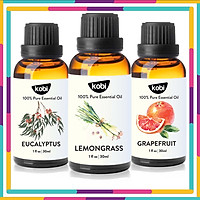 Combo 3 Tinh Dầu Xông Phòng Kobi: Tinh Dầu Khuynh Diệp (30ml) + Tinh Dầu Sả Chanh (30ml) + Tinh Dầu Bưởi (30ml) - Tinh Dầu Thiên Nhiên Nguyên Chất, Tốt Cho Bé Sơ Sinh, Giúp Giữ Ấm Cơ Thể, Phòng Ngừa Bệnh Hô Hấp Hiệu Quả