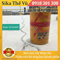 Keo neo thép râu, trám nứt bê tông hai thành phần - Sikadur 731 (bộ 1kg)