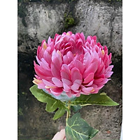 Hoa cúc mẫu đơn lụa, cúc đại hoá dài 70cm đường kinh bông 13cm