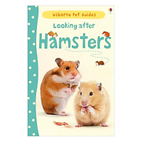 Usborne Pet Guides: Looking after Hamsters