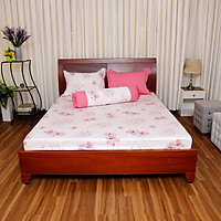 Bộ drap gối Thắng Lợi TK 1420