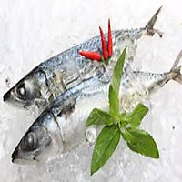 CÁ SABA NGUYÊN CON TẨM GIA VỊ TÂN HẢI HÒA