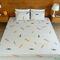 Bộ ga chống thấm cao cấp thoáng mát TP004