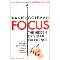 Focus : The Hidden Driver Of Excellence (Paperback)