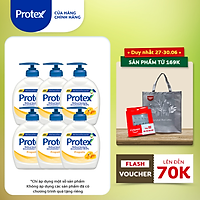 Bộ 6 Nước rửa tay diệt khuẩn Protex Propolis keo ong 250ml/chai