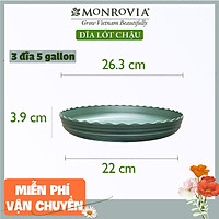 Combo Đĩa3 Đĩa lót chậu nhựa trồng cây MONROVIA 5 GL, chậu trồng cây, chậu cây cảnh mini, để bàn, treo ban công, treo tường, cao cấp, chính hãng thương hiệu MONROVIA