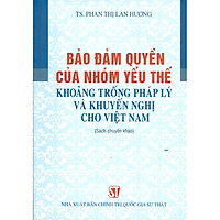 Bảo Đảm Quyền Của Nhóm Yếu Thế Khoảng Trống Pháp Lý Và Khuyến Nghị Cho Việt Nam (Sách chuyên khảo)