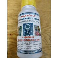 Phân bón lá Amino Quelant - minors - chai 100 ml