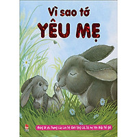 Vì Sao Tớ Yêu Mẹ (Tái Bản 2014)