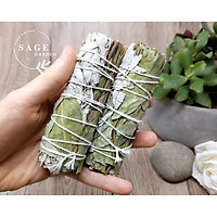 BẠCH ĐÀN & XÔ TRẮNG / XÔ XANH / HƯƠNG THẢO_Cân bằng cảm xúc_VƯỜN XÔ THƠM