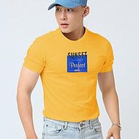 Áo Thun Nam có họa tiết King168 , Áo Thun thời trang cao cấp nam NT714