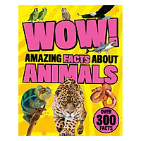 Wow! Amazing Facts