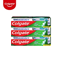 Bộ 3 kem đánh răng Colgate ngừa sâu răng răng chắc khỏe 225g/ tuýp tặng bàn chải lông tơ cao cấp Thái Lan