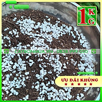 Giá Thể siêu dưỡng - Đất trộn sẵn chuyên trồng Sen Đá - Hương Thảo - cây lá kiểng 1kg