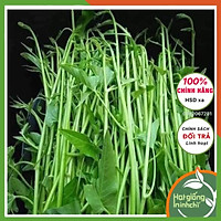 Hạt giống rau muống cao sản siêu ngọn thái lan, gói 30gram, Rau củ quả trồng ban công, sân thượng, thùng xốp.