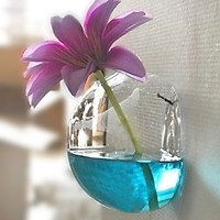 Chậu Thủy Tinh Treo Tường Trồng Cây (10x10x7cm)