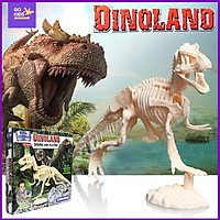 Đồ Chơi Khảo Cổ - Sưu Tầm Hóa Thạch Khủng Long T-rex