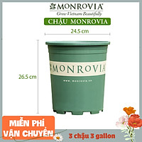 3 Chậu nhựa trồng cây MONROVIA 3 Gl, chậu trồng cây, chậu cây cảnh mini, để bàn, treo ban công, treo tường, cao cấp, chính hãng thương hiệu MONROVIA