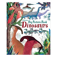 Usborne Big Picture Book Dinosaurs