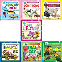 Bộ 7 Cuốn Từ Điển Hình Ảnh Cho Bé