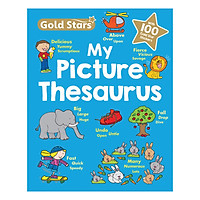 Gold Stars – My First Picture Thesaurus