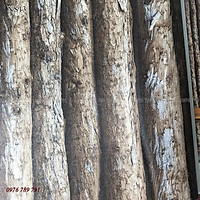 Giấy Dán Tường Giả Cây Gỗ 3d Hàn Quốc NT Lụa Không Keo Khổ 1.06 x 15.6m