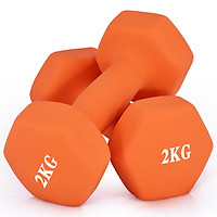 Hai Tạ Tay Chengyue CY-129 (2Kg)
