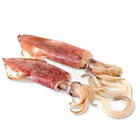 Mực ghim B trên 12cm (1kg)