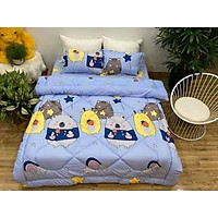 BỘ GA GỐI CHĂN PHAO 5 MÓN POLY COTTON 2021