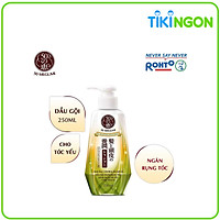 Dầu gội ngăn rụng tóc Megumi Hair Fall Control Shampoo - 250ml