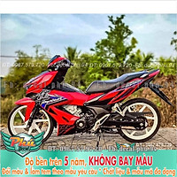 Tem Rời Winner X Đỏ hayabusa (K)