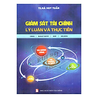 Giám Sát Tài Chính – Lý Luận Và Thực Tiễn