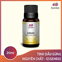 Tinh dầu Gừng – Essenbee – 20ml