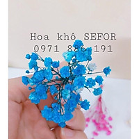 Bó hoa baby mini đa sắc màu ️Bó hoa mini khô ️ làm thiệp, quà tặng, trang trí