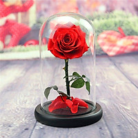 Beauty and The Beast Rose ,Rose Kit, Red Silk Rose with 10 LED Lights in Glass Dome on Wooden Base for Lover, Weddings,