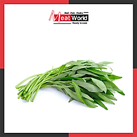 HCM - Rau muống baby hữu cơ 400G - Biongon - Giao nhanh