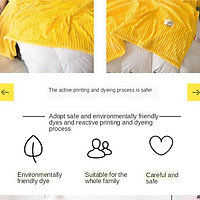 Plush Sheared Coral Fleece Rug Soft Thick Extra Soft Blanket for Home Bed