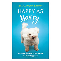 Happy as Harry: A rescue dog shares his secrets for daily happiness