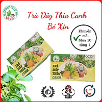Trà Dây Thìa Canh Bé Xịn Hỗ Trợ Bệnh Tiểu Đường Dạng Túi Lọc 30 gói x 5GR