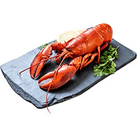 TÔM HÙM ALASKA CHÍN - 1 CON 400GR