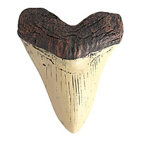 Fake Resin Shark Teeth SKULL Sculpt Tricky Home Decor Ornament Collectibles