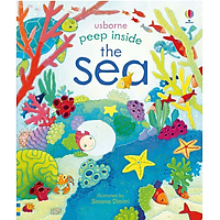 Usborne peep inside the sea