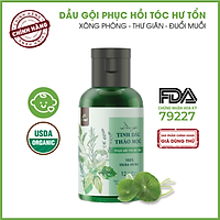 Dầu gội Tinh dầu thảo mộc Phục hồi tóc hư tổn 24Care - Dành cho Nam - chiết xuất từ tinh dầu thiên nhiên