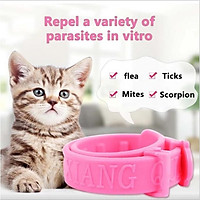 Vòng cổ trị ve, rận cho mèo giá rẻ