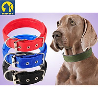 Vòng cổ cho chó siêu bền, đủ size, màu sắc đa dạng